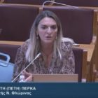 Π. Πέρκα: «Δυστυχώς είχαμε την ατυχία, τον κλιματικό νόμο να τον διαχειριστεί και να τον επεξεργαστεί αυτή η κυβέρνηση» (video)