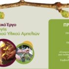 Δήμος Αμυνταίου: Πιλοτικό/Επιδεικτικό Έργο Έξυπνης Παραγωγής Πολλαπλασιαστικού Υλικού Αμπελιών