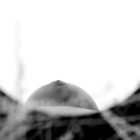 «Ψηλάφησέ με» – Οκτώβρης: Παγκόσμιος Μήνας ενημέρωσης και πρόληψης για τον καρκίνο του μαστού