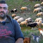 Η ζωή στο χωριό: Το κοπάδι του Βασίλη (video)