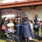 Η Γ’ τάξη του 2ου Δημοτικού Σχολείου Αμυνταίου στο οινοποιείο της Ε.Α.Σ. Αμυνταίου (pics)