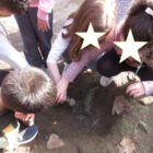 Δεντροφύτευση στο 2ο Δημοτικό Σχολείο Αμυνταίου στο πλαίσιο του έργου Life Terra (pics)