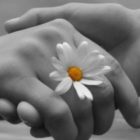 Ανθρω…ΠΟΙΑ;