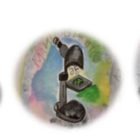 Έναρξη λειτουργίας Ομίλου Καινοτομίας στο 7ο Πειραματικό Νηπιαγωγείο Φλώρινας