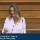 Π. Πέρκα: «Επανέρχονται μνημονιακές διατάξεις για τις στρατηγικές επενδύσεις, ως επιλογή της κυβέρνησης και όχι ως επιταγή των θεσμών» (video)