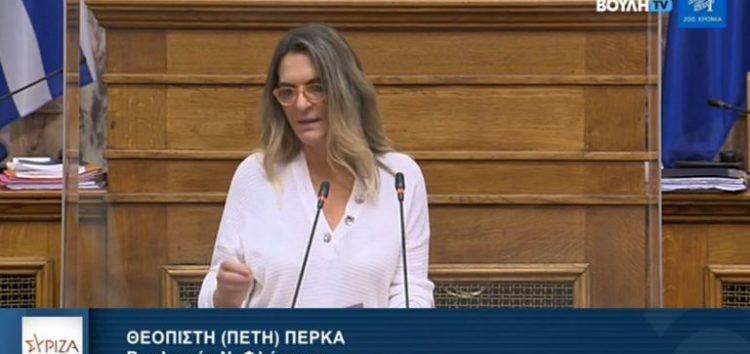 Π. Πέρκα: «Επανέρχονται μνημονιακές διατάξεις για τις στρατηγικές επενδύσεις, ως επιλογή της κυβέρνησης και όχι ως επιταγή των θεσμών» (video)