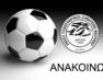 Αναστολή από την ΕΠΣ Φλώρινας κάθε αγωνιστικής δραστηριότητας μέχρι νεωτέρας