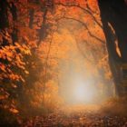 Μια φυγή, αναγκαστική!…