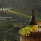Το έργο TERRA VINO ως μοχλός ενίσχυσης επιχειρήσεων και ανάπτυξης του οινοτουρισμού στη Βόρεια Ελλάδα