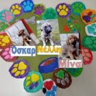 Δράση του 2ου Δημοτικού Σχολείου Αμυνταίου για την υιοθεσία αδέσποτων κουταβιών (pics)