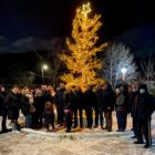 Άναψε το Χριστουγεννιάτικο Δέντρο της κοινότητας Σκοπού (pics)