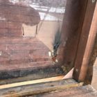 Φθορές στον εορταστικό διάκοσμο του Νέου Δημοτικού Πάρκου προκάλεσαν άγνωστοι – Ο Δήμος Φλώρινας καταδικάζει το γεγονός (pics)