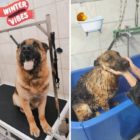 Χάθηκε ο «Έκτορας»