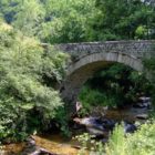 Αναβολή της εκλογοαπολογιστικής Γενικής Συνέλευσης και των εκλογών του Μορφωτικού Συλλόγου Δροσοπηγής