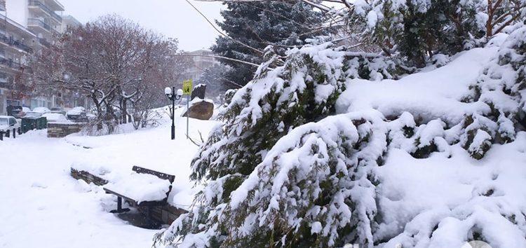 Στα λευκά και πάλι η Φλώρινα (video, pics)