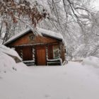 Ήρθε η ώρα του χειμέριου λήθαργου στο Κέντρο Προστασίας Αρκούδας στο Νυμφαίο!