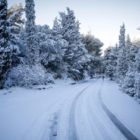 Χωρίς ρεύμα και τηλέφωνο οι κάτοικοι πολλών κοινοτήτων της Φλώρινας