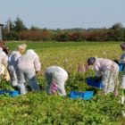 Δεύτερη αίτηση στο ΣΔΑΜ κατέθεσε η Λιγνιτωρυχεία Αμυνταίου ΑΕ