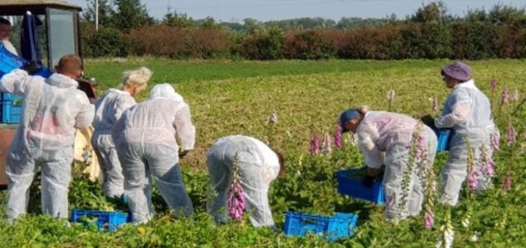 Δεύτερη αίτηση στο ΣΔΑΜ κατέθεσε η Λιγνιτωρυχεία Αμυνταίου ΑΕ