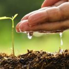 Η επιχείρηση Λαζαρίδης Γεώργιος αναζητά γεωπόνο