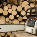 Σύσταση Μητρώου δασικών συνεταιρισμών εργασίας για την διαδικασία εκμίσθωσης συστάδων (ΑΤΟΜΙΚΕΣ ΑΝΑΓΚΕΣ) των δημοτικών δασών του Δήμου Αμυνταίου