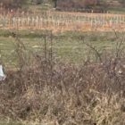 «Ένα παιδί μετράει τα σκουπίδια» και ζητά μία χάρη