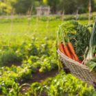 Θεσπίζονται τα πρώτα Βραβεία Βιολογικής Παραγωγής  από την Ευρωπαϊκή Ένωση – Από τις 25 Μαρτίου έως 8 Ιουνίου 2022 οι αιτήσεις υποψηφιοτήτων