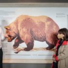 Στο καταφύγιο του “Αρκτούρου” στο Νυμφαίο η Πρόεδρος της Δημοκρατίας Κατερίνα Σακελλαροπούλου