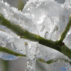 Επιστολή του Αγροτικού Συλλόγου Αμυνταίου για την άμεση καταβολή αποζημιώσεων