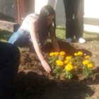 Διαμόρφωση του κήπου της αυλής του 1ου ΕΠΑΛ Φλώρινας (pics)