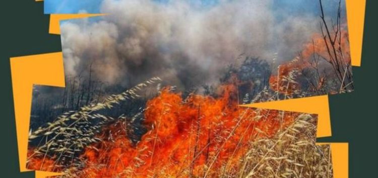 Δήμος Πρεσπών: Καθαρισμός και αποψίλωση οικοπέδων, αγροτεμαχίων και ακάλυπτων χώρων στην αντιπυρική περίοδο