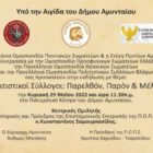 Εκδήλωση τεσσάρων εθνικοτοπικών Ομοσπονδιών στο Αμύνταιο: «Πολιτιστικοί σύλλογοι: Παρελθόν, Παρόν και Μέλλον»