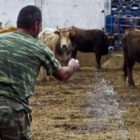 Πωλούνται δικαιώματα γεωργοκτηνοτρόφου