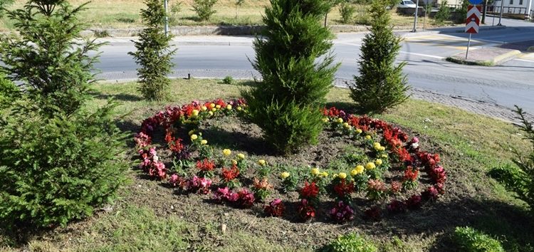 Φυτεύσεις λουλουδιών και περιποίηση πρασίνου στην πόλη της Φλώρινας (pics)