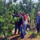 Περιοδεία του βουλευτή του ΚΚΕ Λεωνίδα Στολτίδη σε περιοχές του Αμυνταίου που χτυπήθηκαν από το χαλάζι (pics)