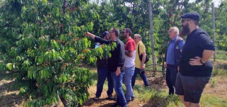 Περιοδεία του βουλευτή του ΚΚΕ Λεωνίδα Στολτίδη σε περιοχές του Αμυνταίου που χτυπήθηκαν από το χαλάζι (pics)