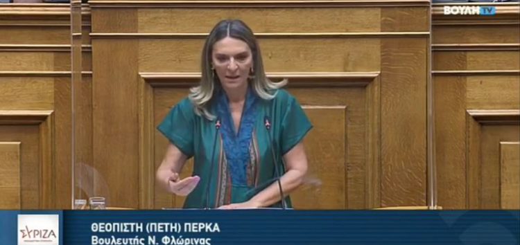 Π. Πέρκα: «Η ΔΕΗ κρατάει το 50% των λιγνιτικών εδαφών και όχι το 1/3 όπως είχε υποσχεθεί η Κυβέρνηση» (video)