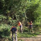 Συνεχίζονται με αμείωτο ρυθμό οι δράσεις πυροπροστασίας από την Πολιτική Προστασία του Δήμου Φλώρινας (pics)