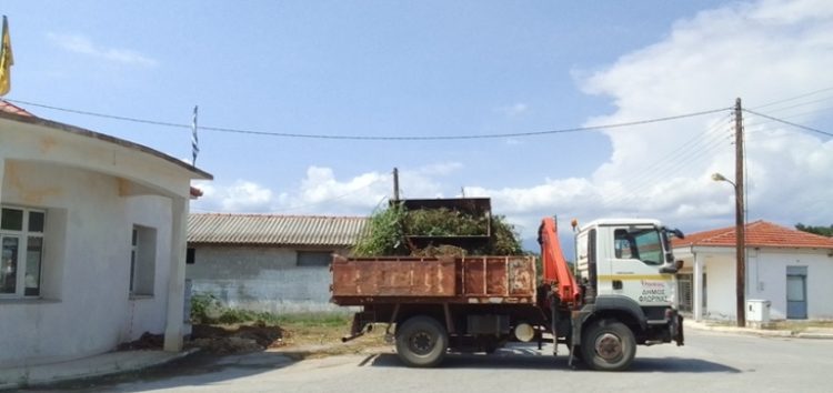 Καθαρισμός σε τοπικές ζώνες (στην Τ.Κ Νέου Καυκάσου Φλώρινας)