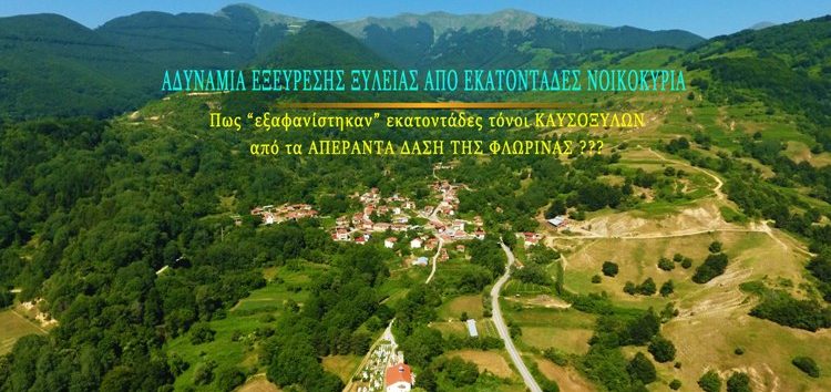 Αδυναμία εξεύρεσης καυσόξυλων από εκατοντάδες οικογένειες στη Φλώρινα