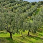 Θέσεις εργασίας στο Ηράκλειο Κρήτης (τελευταία ενημέρωση)