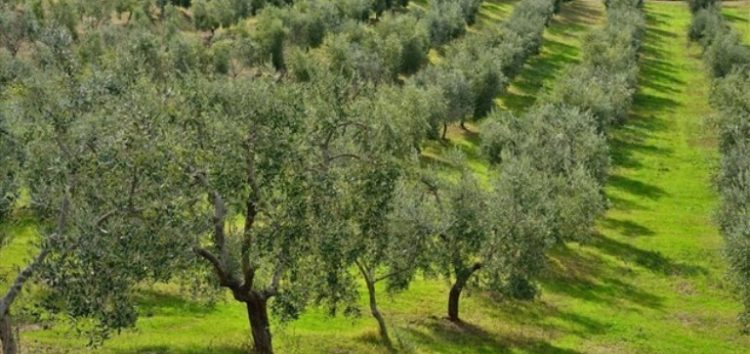 Θέσεις εργασίας στο Ηράκλειο Κρήτης (τελευταία ενημέρωση)