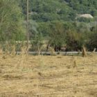 Να κηρυχτεί σε κατάσταση έκτακτης ανάγκης η περιοχή ζήτησε ο Δήμος Πρεσπών, τεράστιες ζημιές από την χαλαζόπτωση!