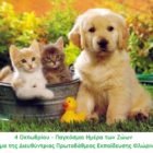 Μήνυμα για την Παγκόσμια Ημέρα των Ζώων της Διευθύντριας Πρωτοβάθμιας Εκπαίδευσης Φλώρινας