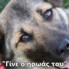 Ραδιοφωνικό μήνυμα για τα αδέσποτα από τους μαθητές/τριες της Δ’ τάξης του 2ου Δημοτικού Σχολείου Αμυνταίου
