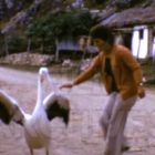 Πρέσπες 1973 (video)