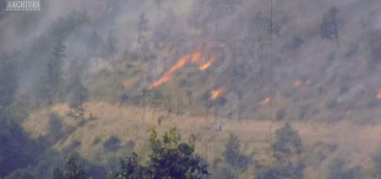 Δασική πυρκαγιά στη Φλώρινα και τις Πρέσπες το 1988 (video)