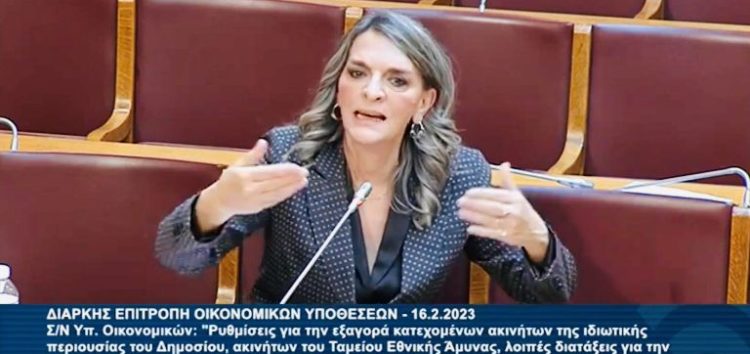 Πέτη Πέρκα: «Η εξαγορά κατεχόμενων ακίνητων δημοσίου πρέπει να επιλύει κοινωνικά προβλήματα και μόνο» (video)