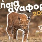 Αρκτούρος: Ετήσια αναφορά 2022 – Βάζοντας τις βάσεις για μια νέα εποχή