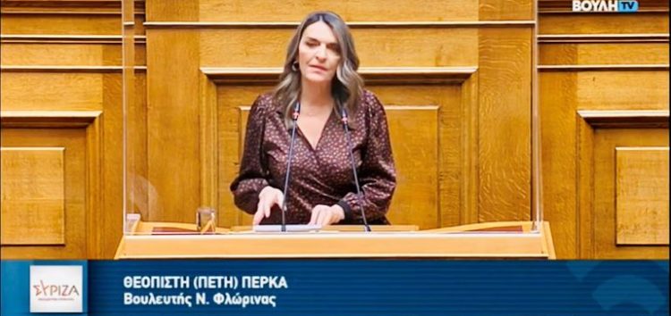 Π. Πέρκα: «Το πολυνομοσχέδιο του ΥΠΕΝ για την έμμεση ιδιωτικοποίηση του νερού, πρέπει να αποσυρθεί και η κυβέρνηση να προκηρύξει εκλογές» (video)